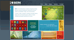 Desktop Screenshot of berkconsulting.com